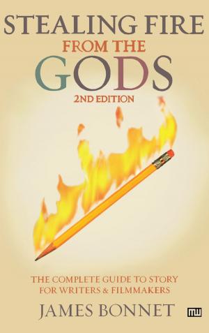 Book cover of Stealing Fire from the Gods