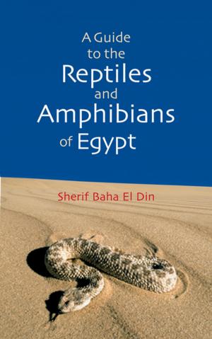 bigCover of the book A Guide to Reptiles & Amphibians of Egypt by 
