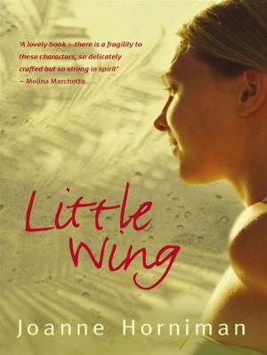 Cover of the book Little Wing by Lesley Cooper, Lynne Briggs