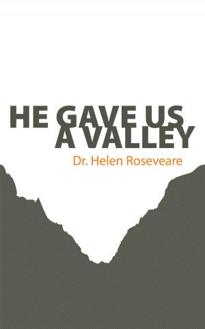 Book cover of He Gave us a Valley