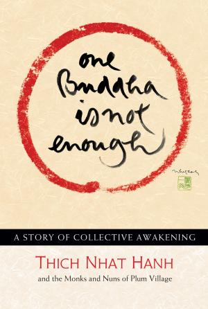 Cover of the book One Buddha is Not Enough by Nikolaj Rotne, Didde Flor Rotne