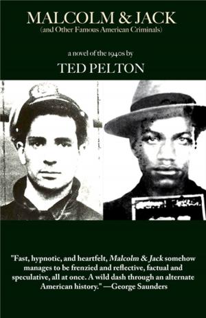 Cover of the book Malcolm & Jack (And Other Famous American Criminals) by Luis Jaramillo