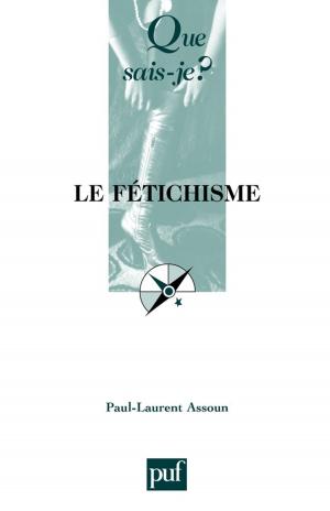 Cover of the book Le fétichisme by Éric Cobast