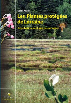 Cover of Les plantes protégées de Lorraine