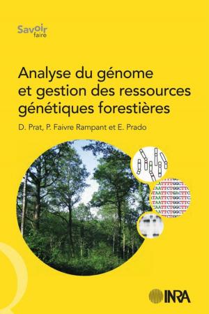 Cover of the book Analyse du génome et gestion des ressources génétiques forestières by Denis Tagu, Jean-Loup Risler
