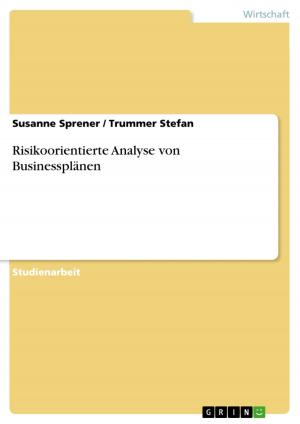 Cover of the book Risikoorientierte Analyse von Businessplänen by Khafra K Om-Ra-Seti