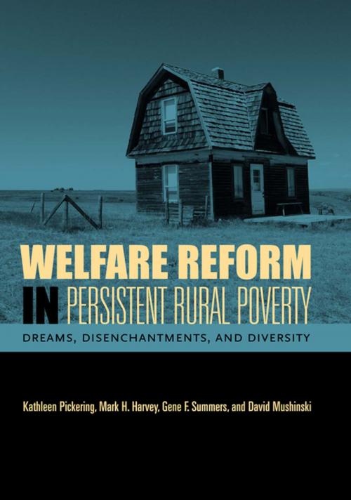 Cover of the book Welfare Reform in Persistent Rural Poverty by Kathleen Pickering, Mark H. Harvey, Gene F. Summers, David Mushinski, Penn State University Press