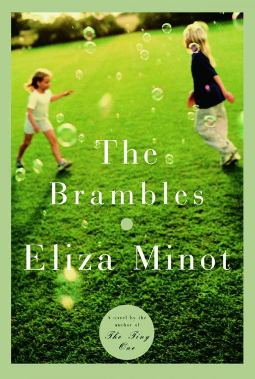 Cover of the book The Brambles by Eliza Minot, Knopf Doubleday Publishing Group