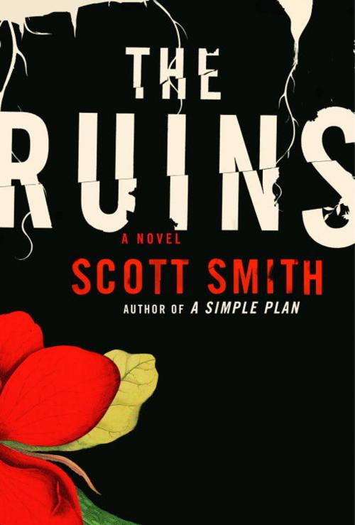 Cover of the book The Ruins by Scott Smith, Knopf Doubleday Publishing Group