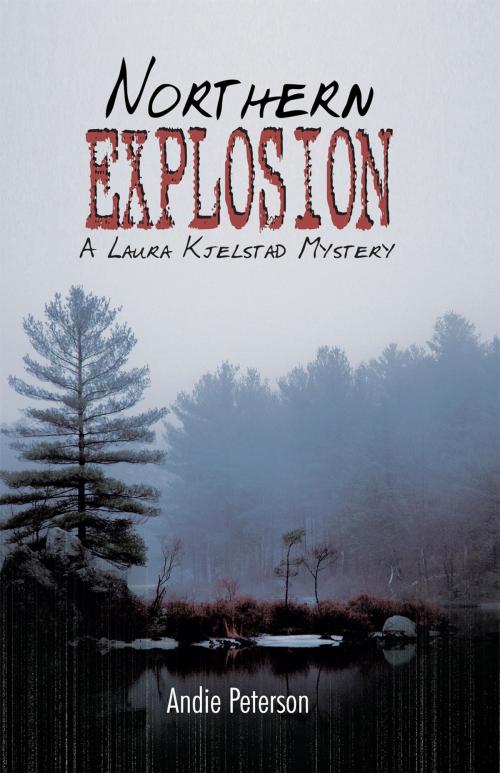 Cover of the book Northern Explosion by Andie Peterson, AuthorHouse