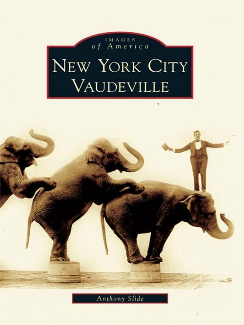 Cover of the book New York City Vaudeville by Anthony Slide, Arcadia Publishing Inc.