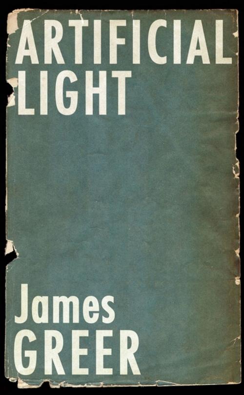 Cover of the book Artificial Light by James Greer, Akashic Books