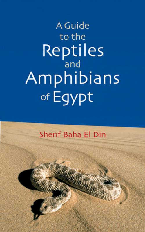 Cover of the book A Guide to Reptiles & Amphibians of Egypt by Sherif Baha el Din, The American University in Cairo Press