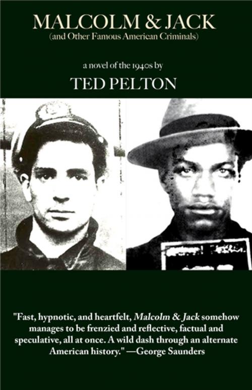 Cover of the book Malcolm & Jack (And Other Famous American Criminals) by Ted Pelton, Dzanc Books