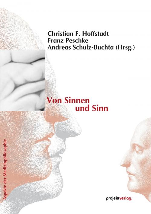 Cover of the book Von Sinnen und Sinn by , Projekt