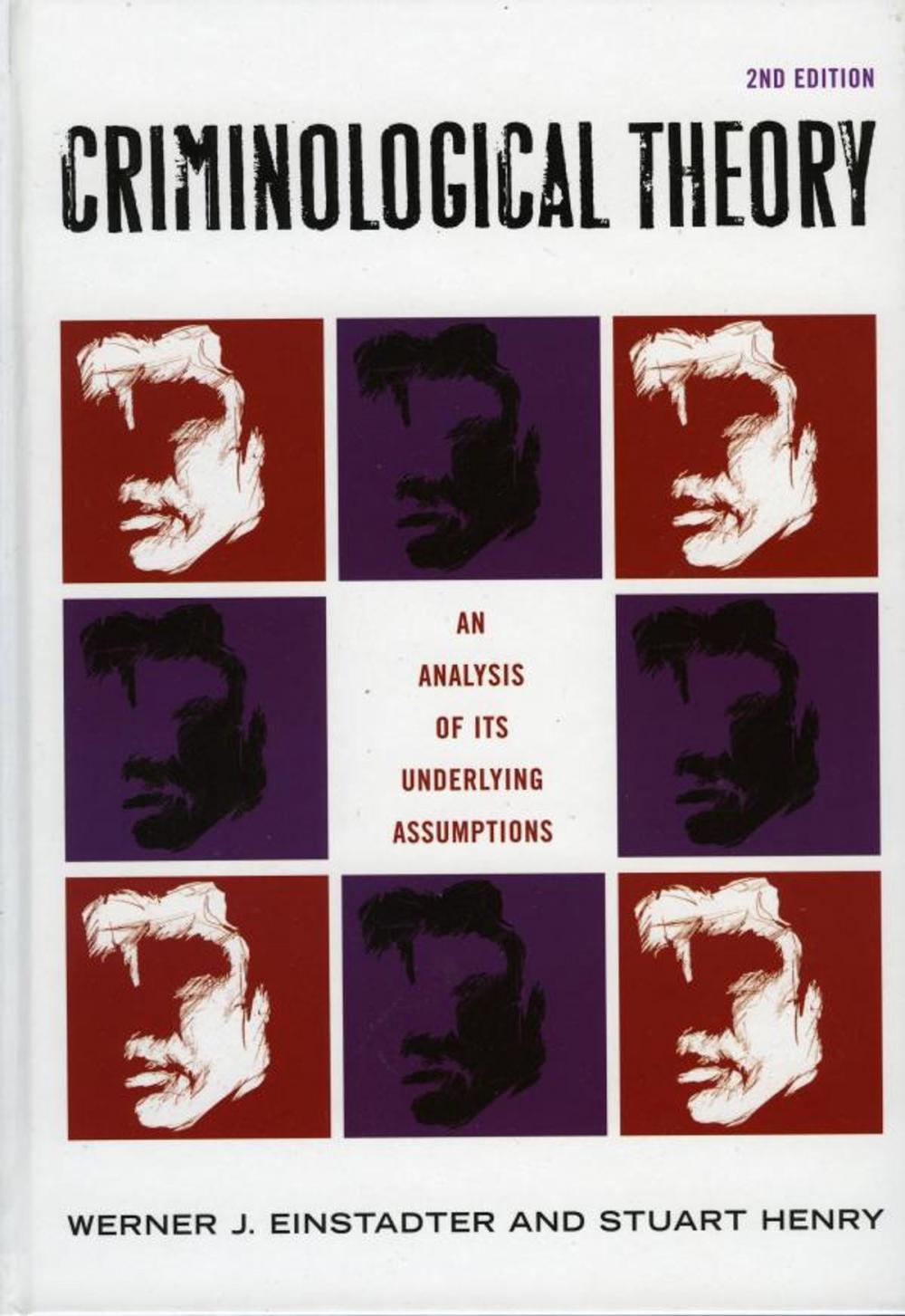 Big bigCover of Criminological Theory