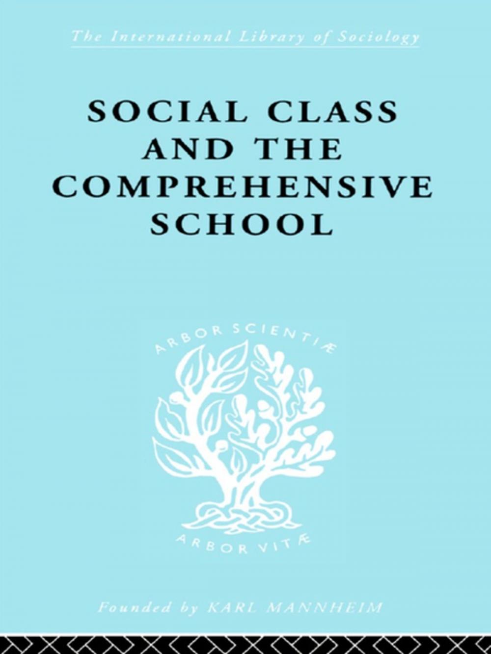 Big bigCover of Social Class and the Comprehensive School