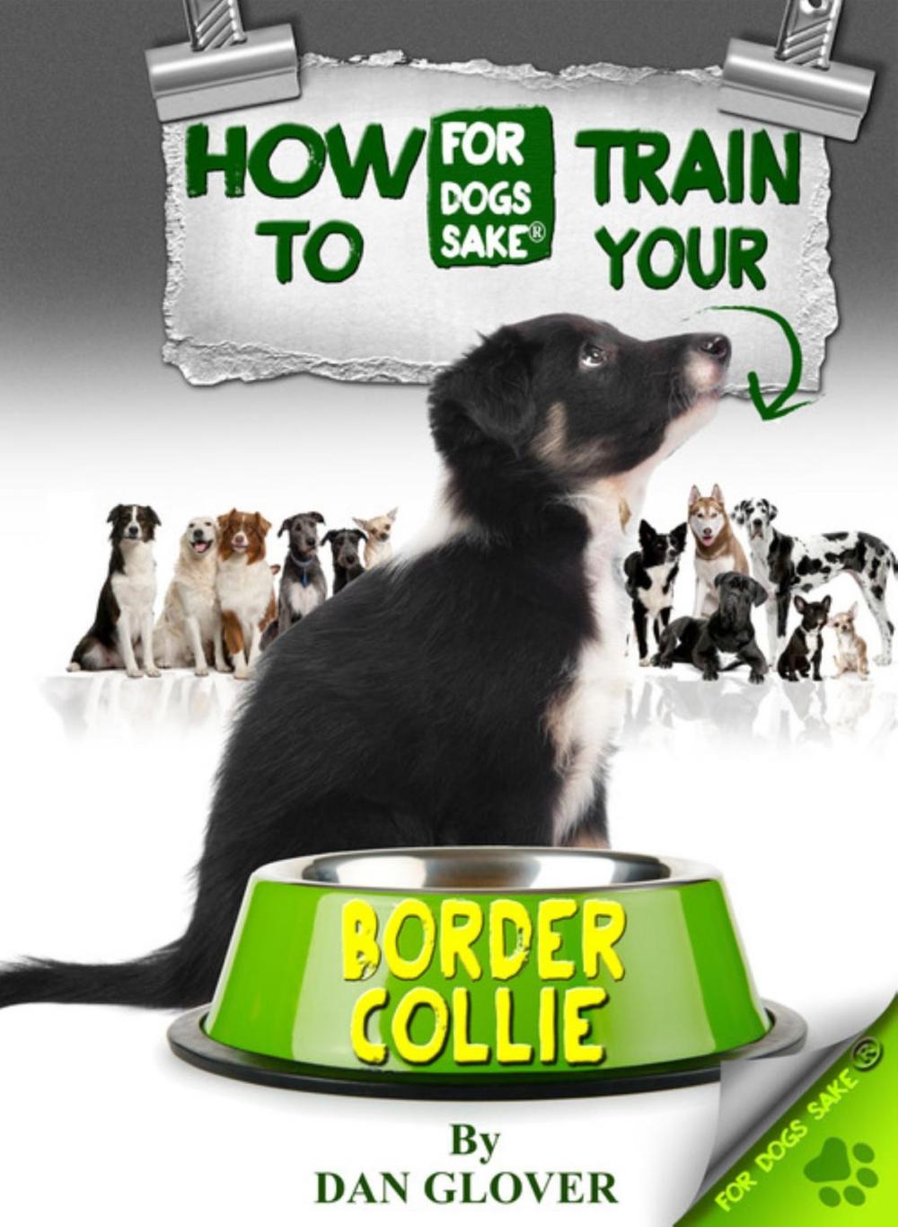 Big bigCover of How to Train Your Border Collie