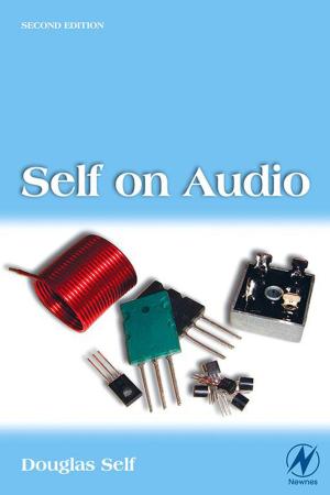 Cover of the book Self on Audio by Daniel Wallach, David Makowski, James W. Jones, Francois Brun