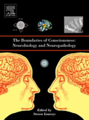 Cover of the book The Boundaries of Consciousness: Neurobiology and Neuropathology by Lidia Dominika Ogiela
