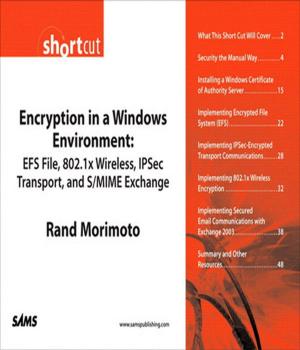 Cover of the book Encryption in a Windows Environment by David M. Himmelblau, James B. Riggs