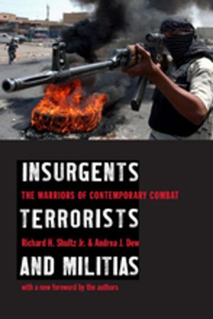 Cover of the book Insurgents, Terrorists, and Militias by Christian de Perthuis, Pierre-André Jouvet