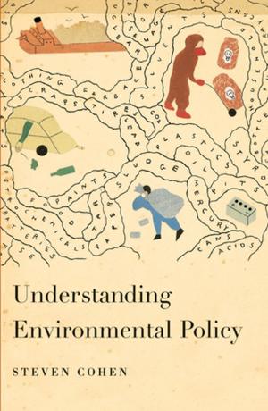 bigCover of the book Understanding Environmental Policy by 