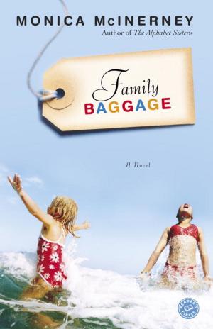 bigCover of the book Family Baggage by 