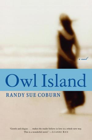 Book cover of Owl Island