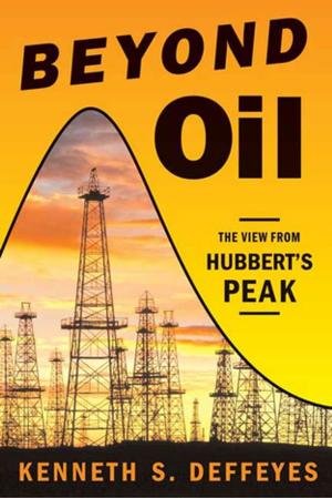Cover of the book Beyond Oil by Barry Friedman