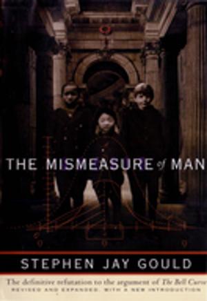bigCover of the book The Mismeasure of Man (Revised & Expanded) by 
