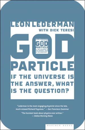 Cover of the book God Particle by Magnus Mills