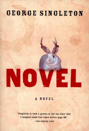 Book cover of Novel