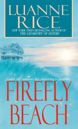 Cover of the book Firefly Beach by Jon Katz