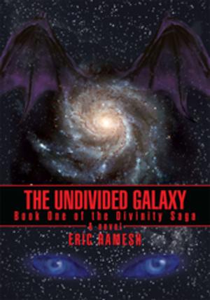Cover of the book The Undivided Galaxy by Peter Jensen