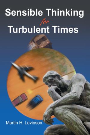 Book cover of Sensible Thinking for Turbulent Times