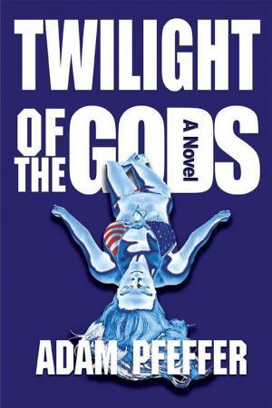 Cover of the book Twilight of the Gods by Valerie Stanol