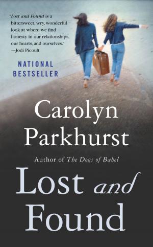 Cover of the book Lost and Found by James Patterson