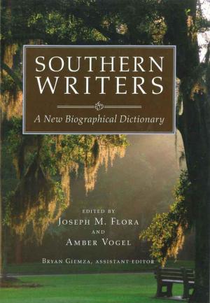 Cover of the book Southern Writers by Brian Higgins, Hershel Parker