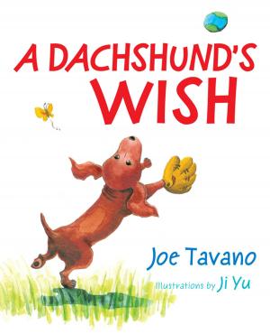 Book cover of A Dachshund's Wish