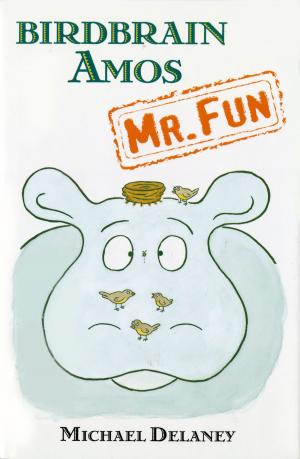 Cover of the book Birdbrain Amos, Mr. Fun by Jake Marcionette