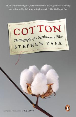 Cover of the book Cotton by Stephen Witt