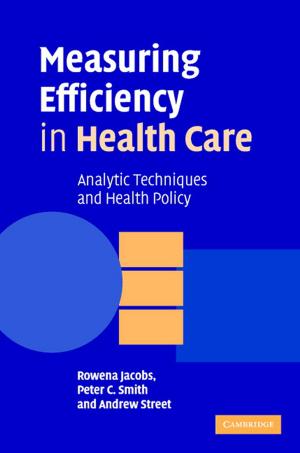 Cover of the book Measuring Efficiency in Health Care by M. E. N. Majerus