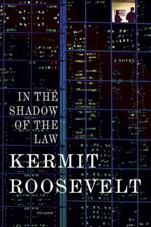 Book cover of In the Shadow of the Law