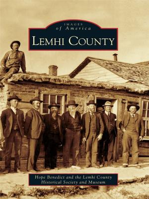 Cover of the book Lemhi County by Mike Cox