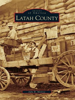 Cover of the book Latah County by Ned Allen