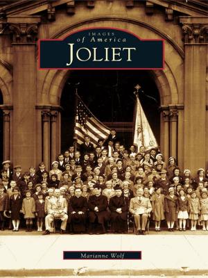 Cover of the book Joliet by Mary Collins Barile