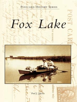 Cover of the book Fox Lake by Michael Ray Shinabery