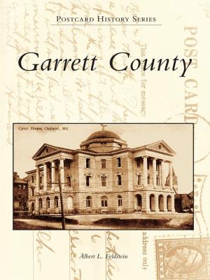 Cover of the book Garrett County by Ryan Wieber, Sandy Stamm