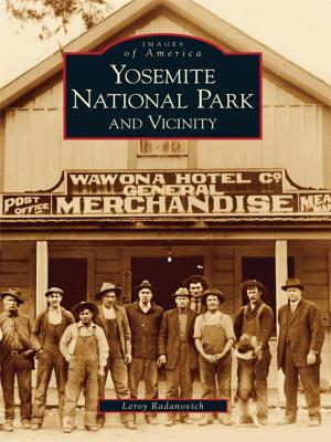 Cover of the book Yosemite National Park and Vicinity by Scott Stursa